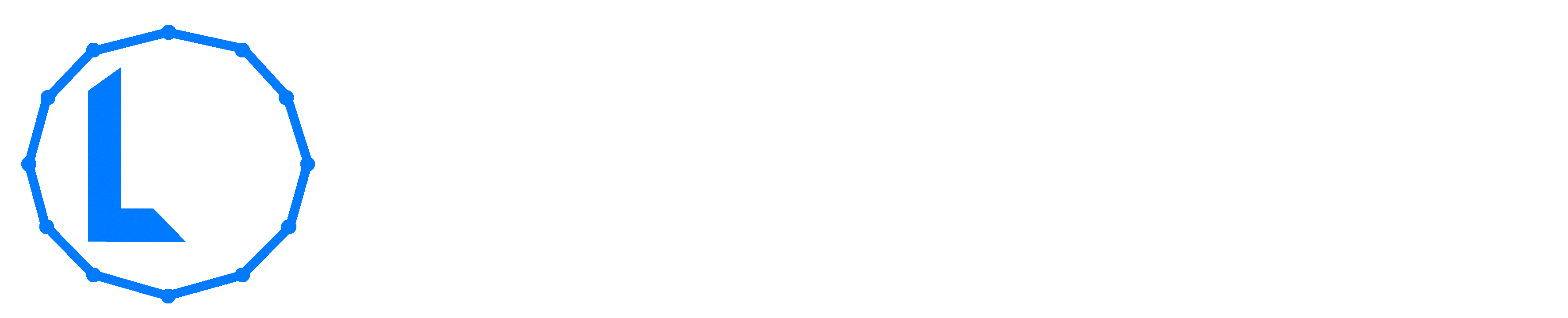 Lokalt Nätverk